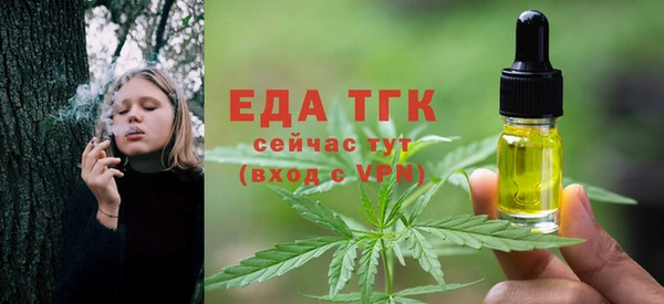 дмт Богородицк