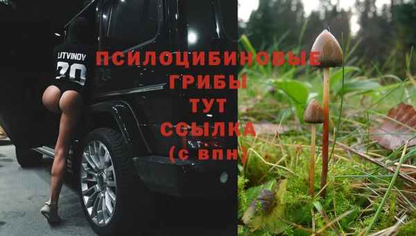 дмт Богородицк