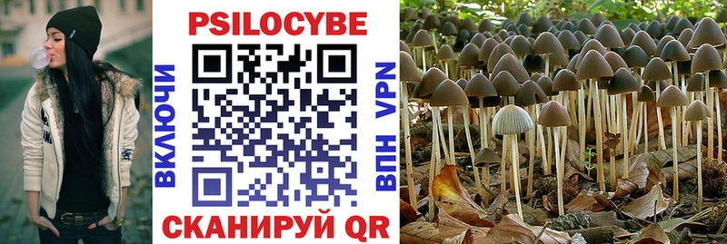 наркотики  Болгар  Галлюциногенные грибы MAGIC MUSHROOMS 